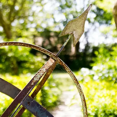 Traphoeve * スハーヘン