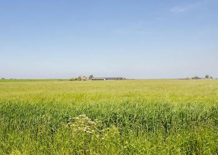 Traphoeve Vakantiehuis *